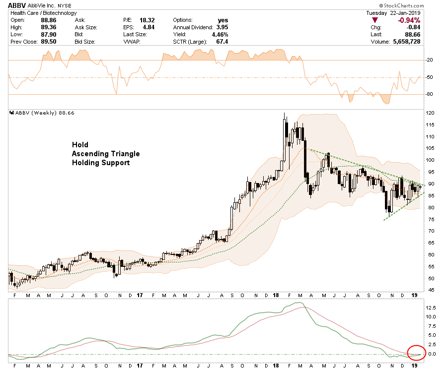 , Selected Portfolio Position Review: 01-23-19