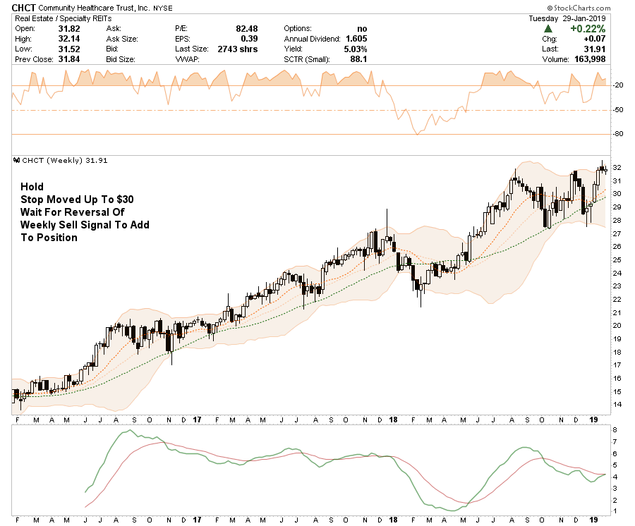 , Selected Portfolio Position Review: 01-30-19